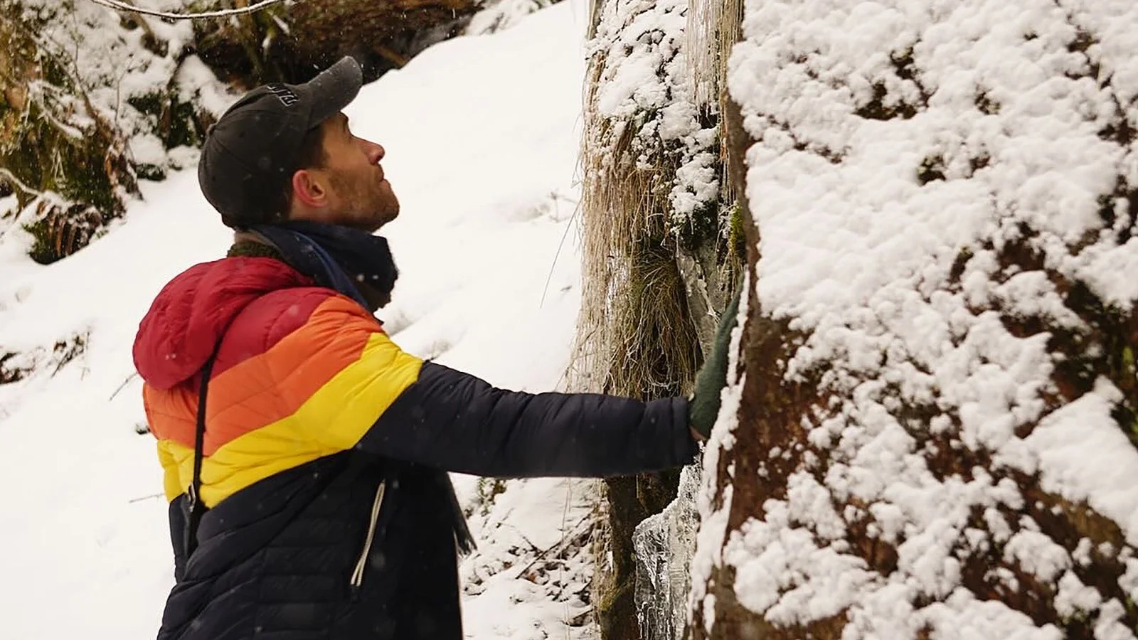 Ape_Bleakney_Germany_Black Forest_YGSI7339x.JPG