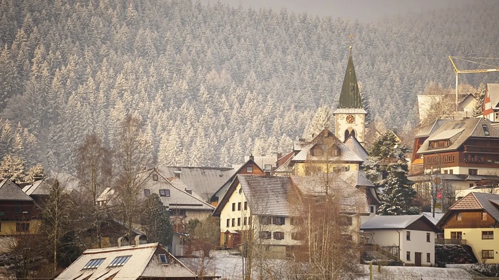 Ape_Bleakney_Germany_Black Forest_YBPS1892x.JPG