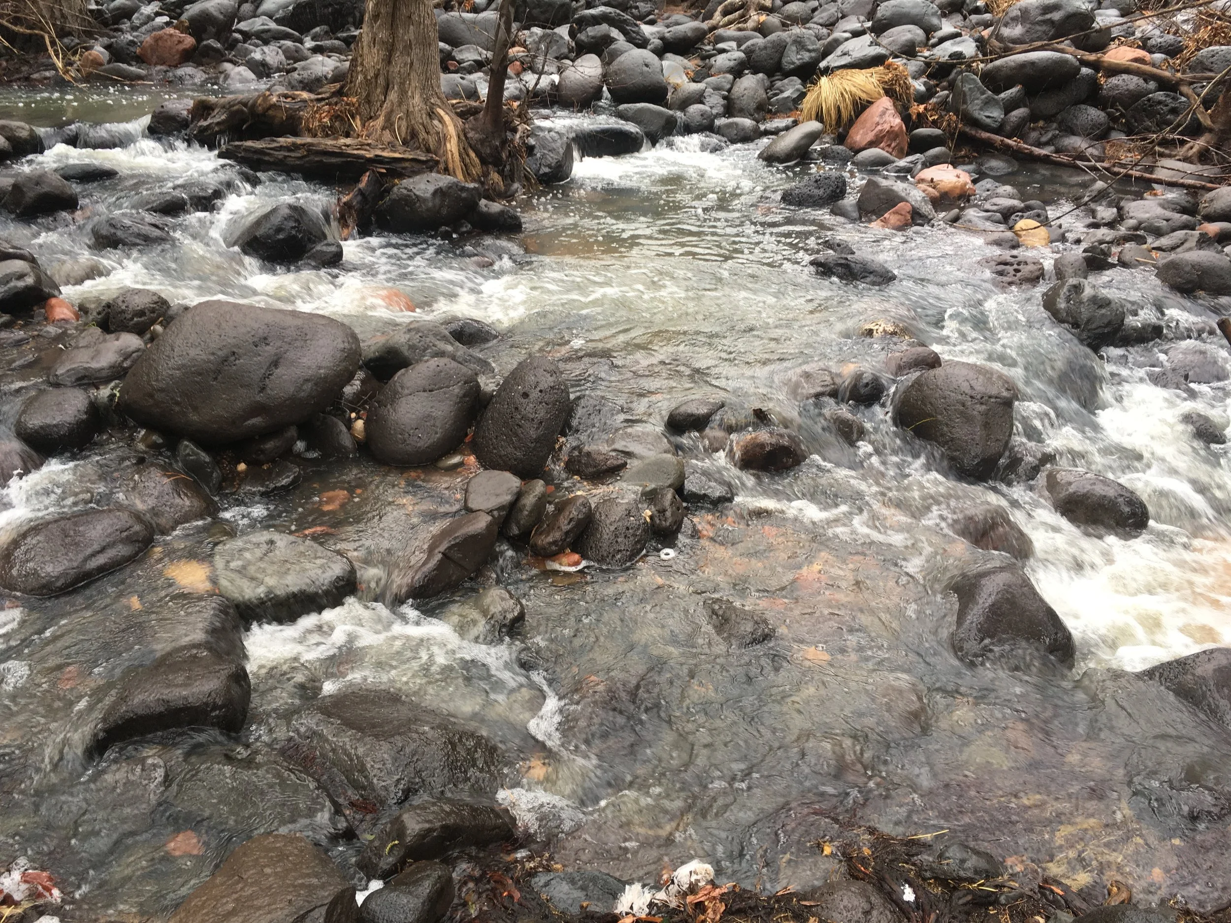 The Water Runs Through