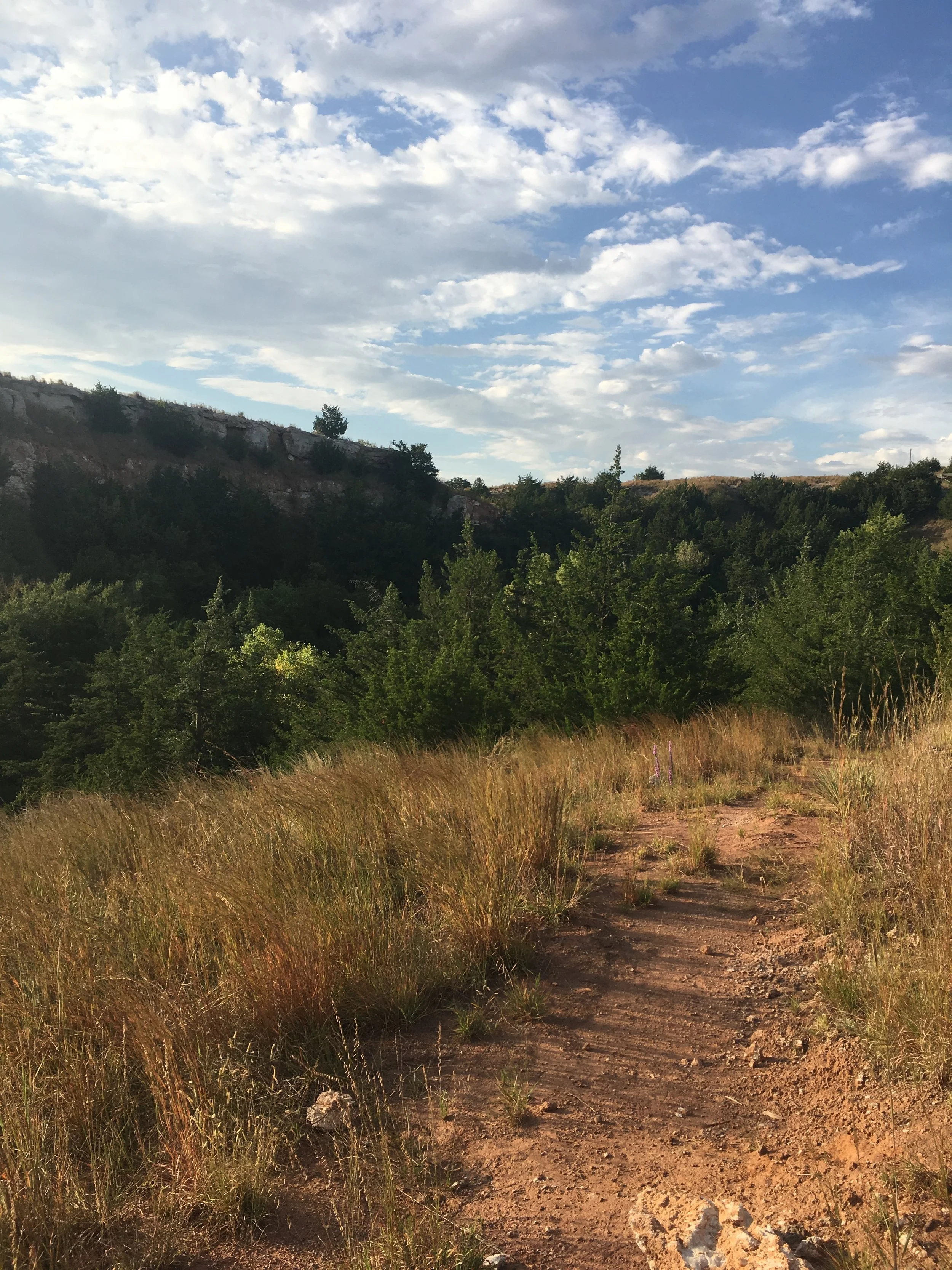 Mo(o)ving Through Oklah-OM-a/ Are You O(M)K?