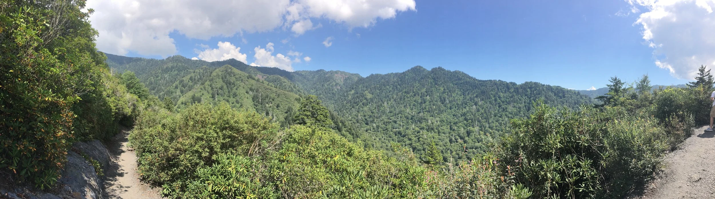 Among the Peaks