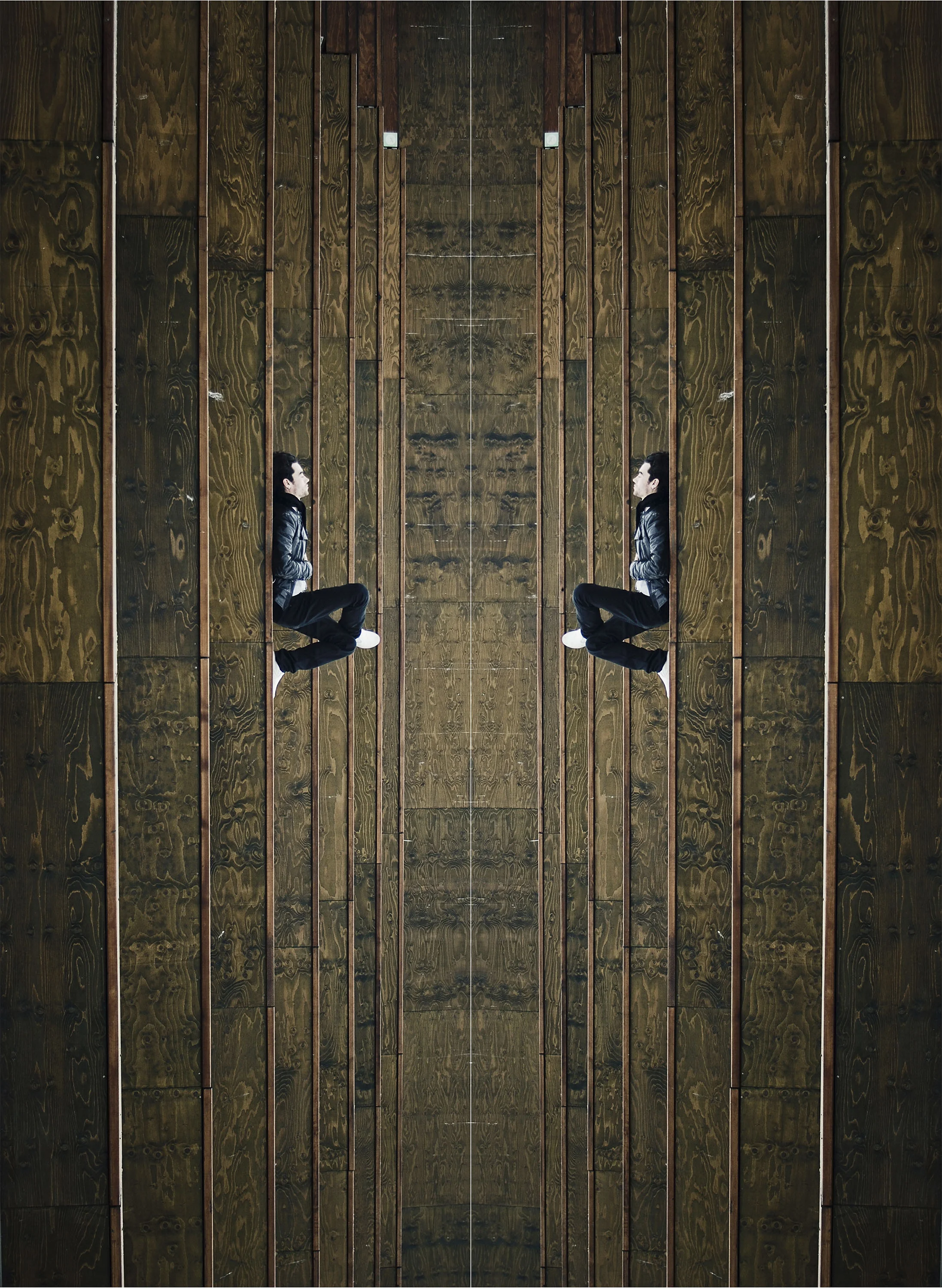 Elif Sanem Karakoc-Zebraskin copy.jpg
