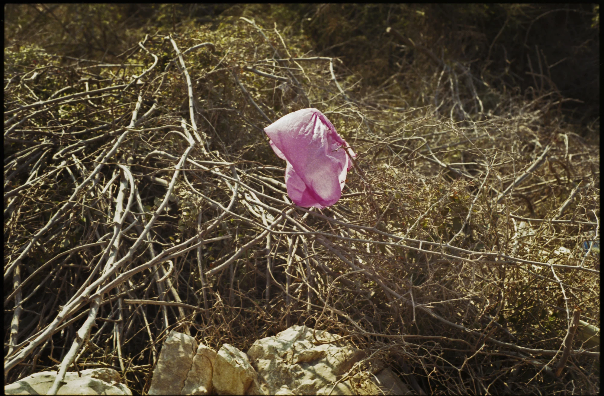 sarandeanalog008 copy.jpg