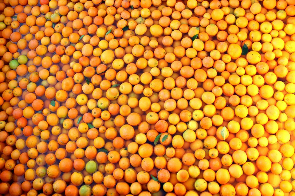 Oranges.03.jpg