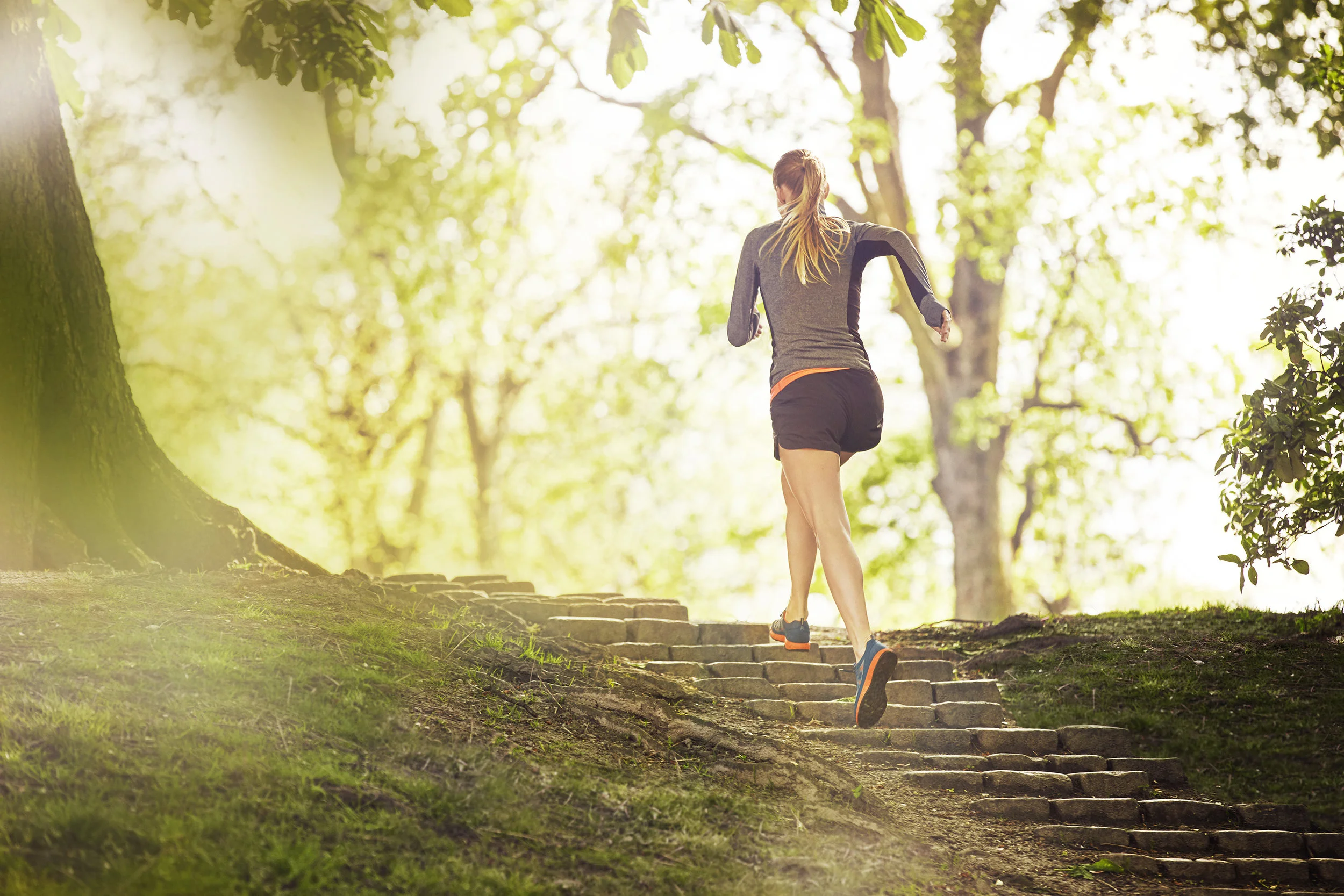 The top dot 0005.jpg