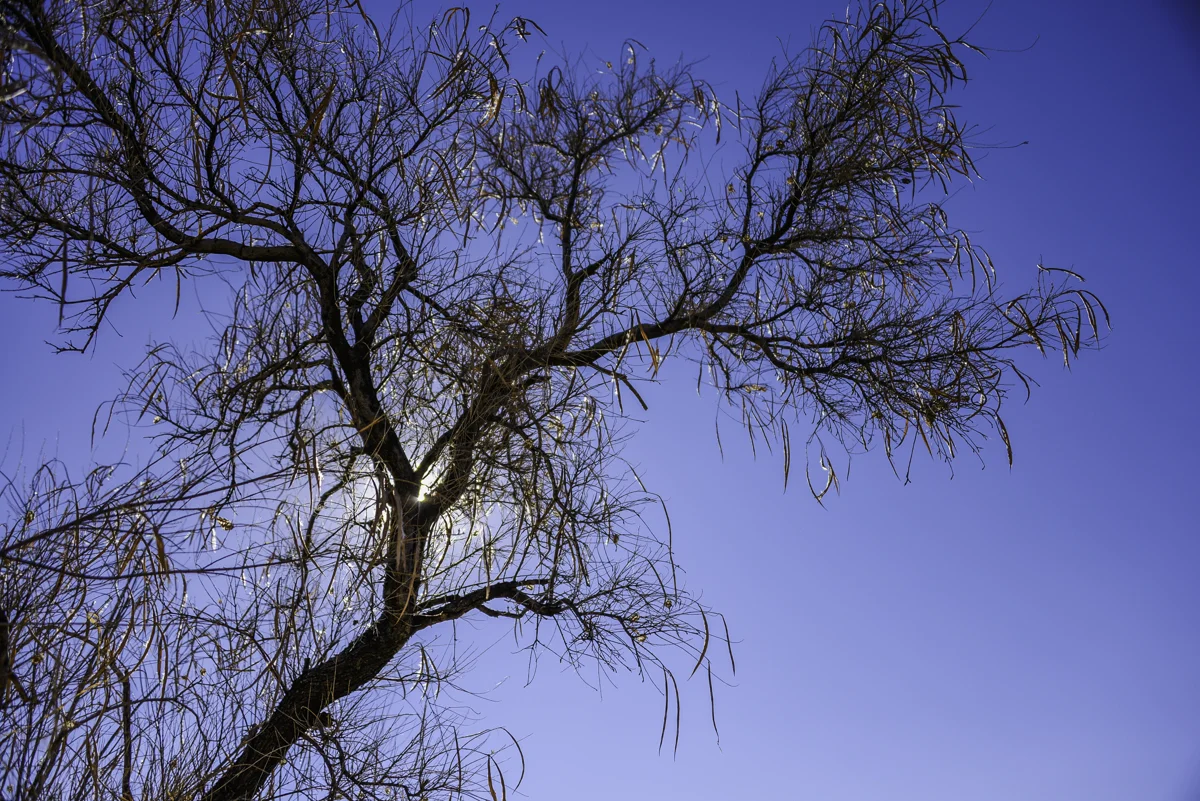 P_MARTIN_20121123-16.jpg
