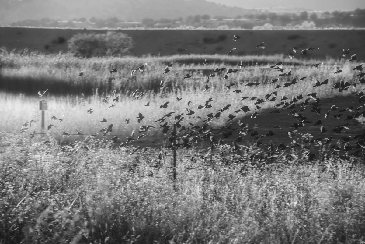 P_MARTIN_20121123-78-2.jpg
