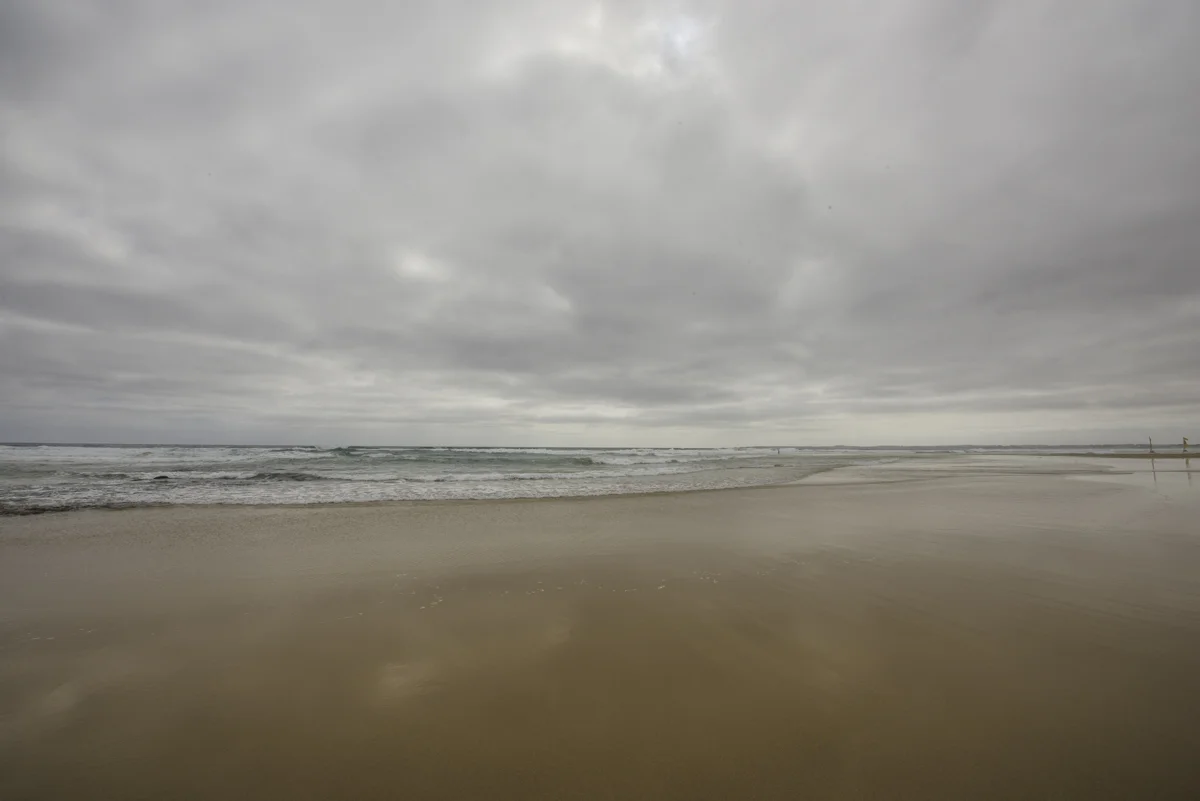 P_MARTIN_20140120-280.jpg