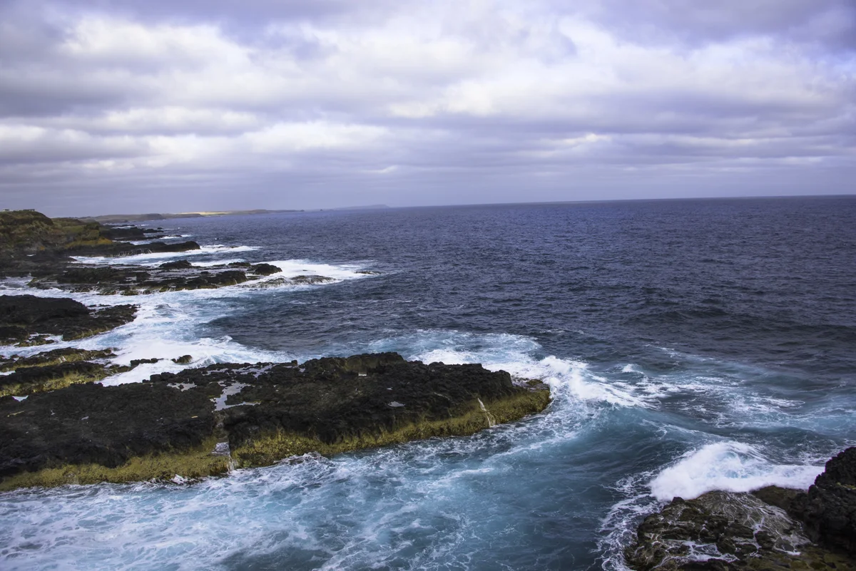 P_MARTIN_20140120-445.jpg