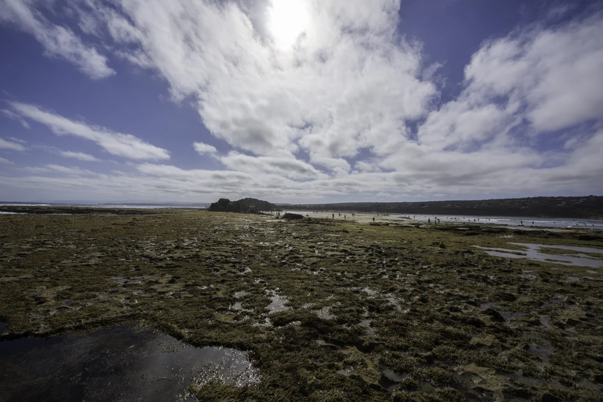 P_MARTIN_20140121-114.jpg