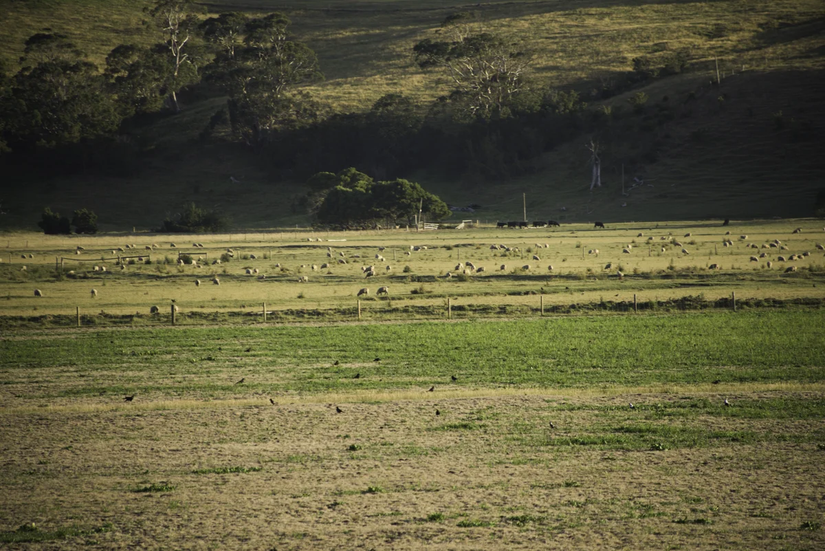 P_MARTIN_20140121-353.jpg