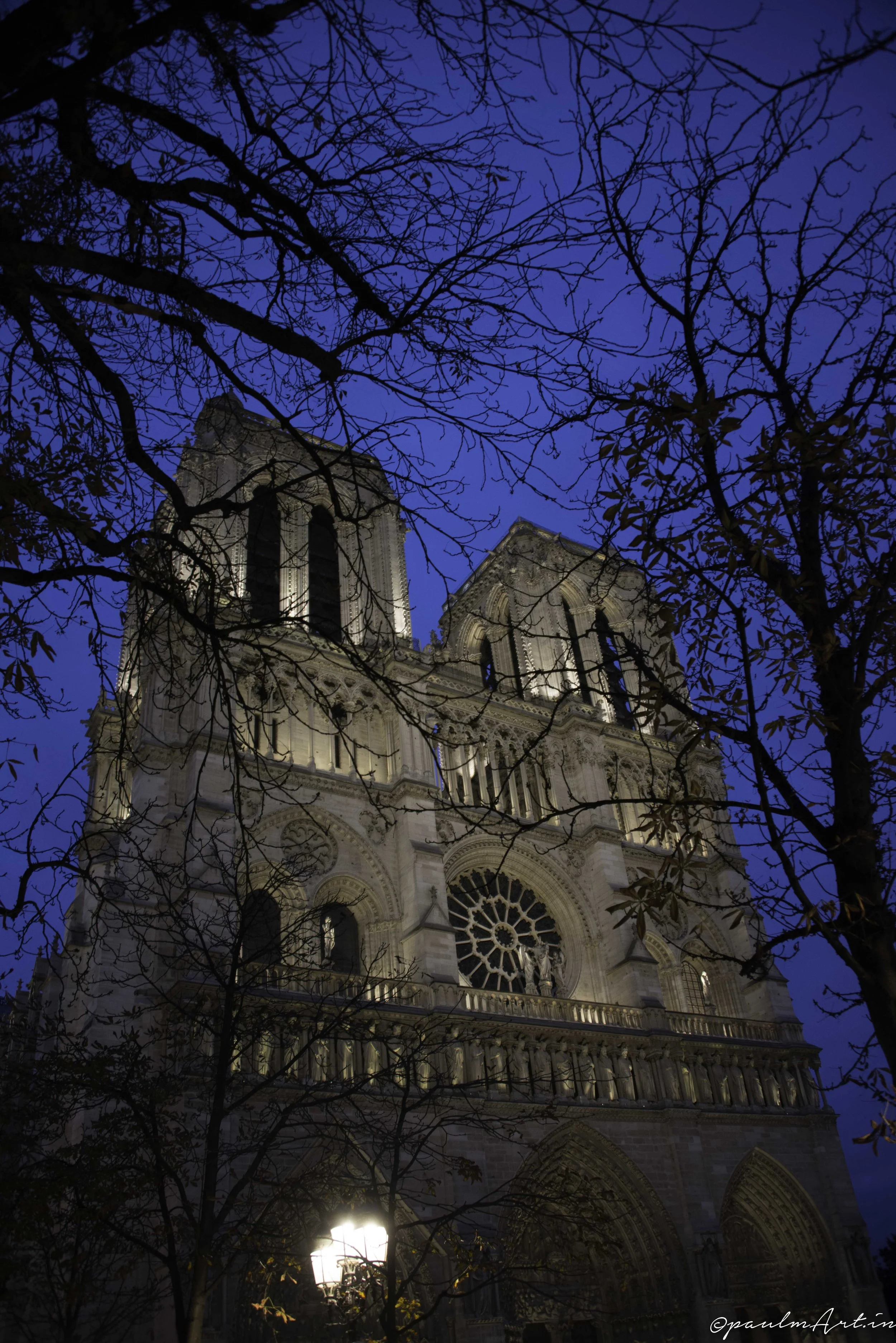 P_MARTIN_20151023-50.jpg