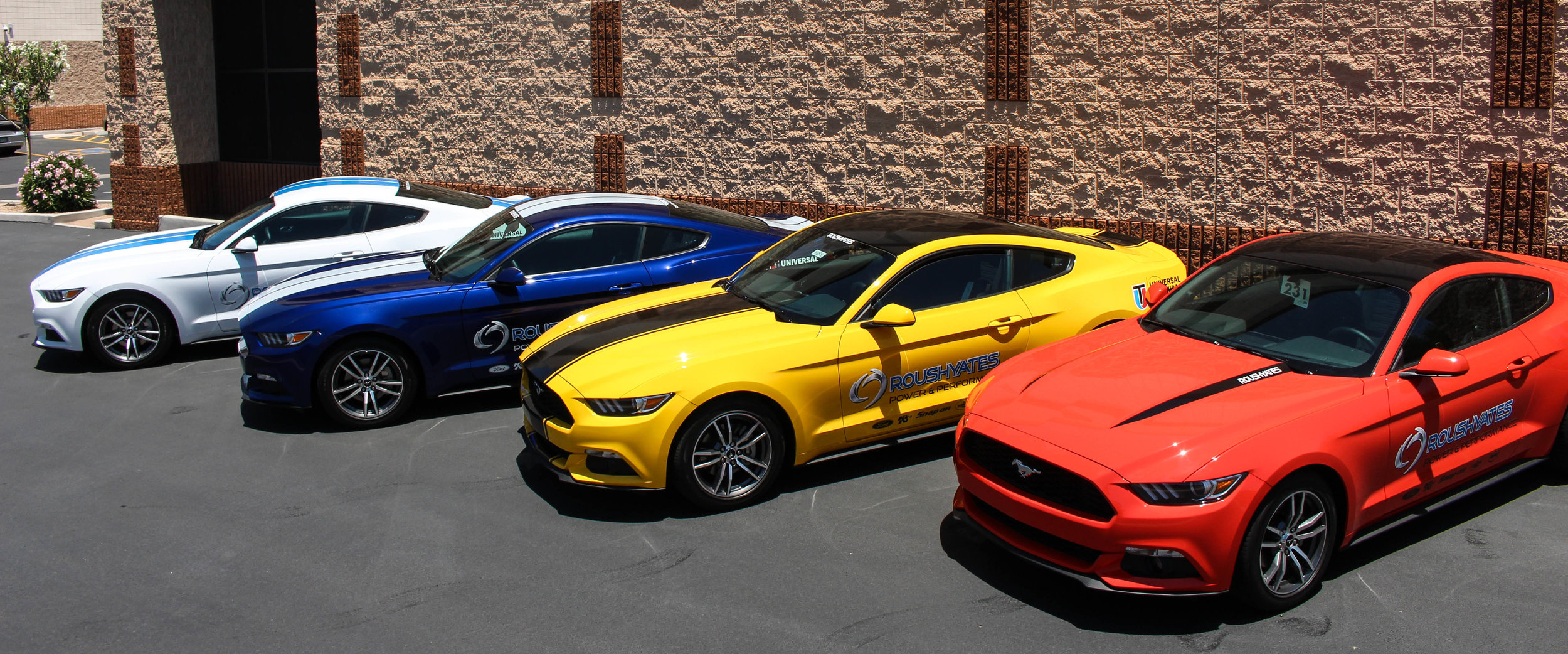 4Mustangs.JPG