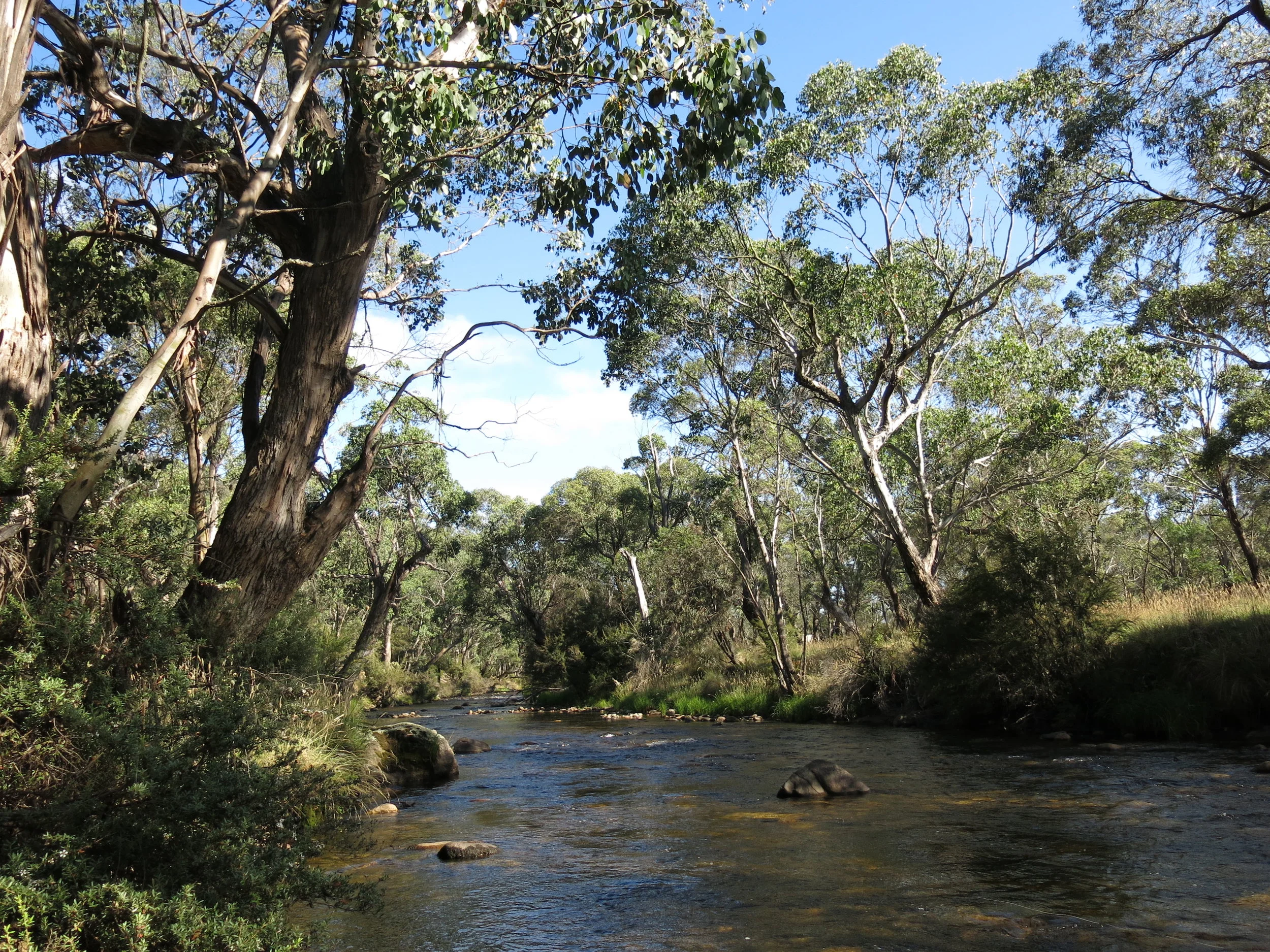 A river somewhere…