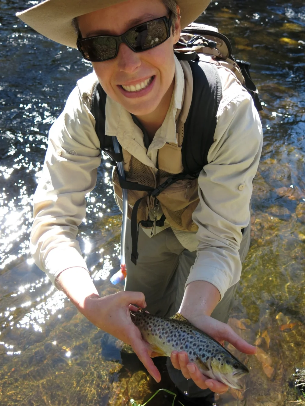 A wicked little wild brown trout