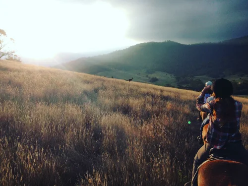 Go find your nirvana … it’s out there somewhere