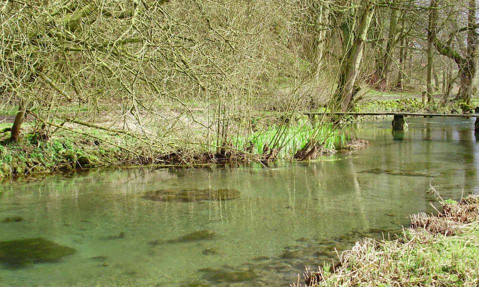 Chalk stream fishing in Northern England
