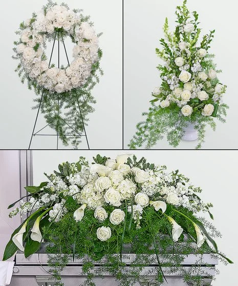 DBF'S Elegant Trio - CSF06