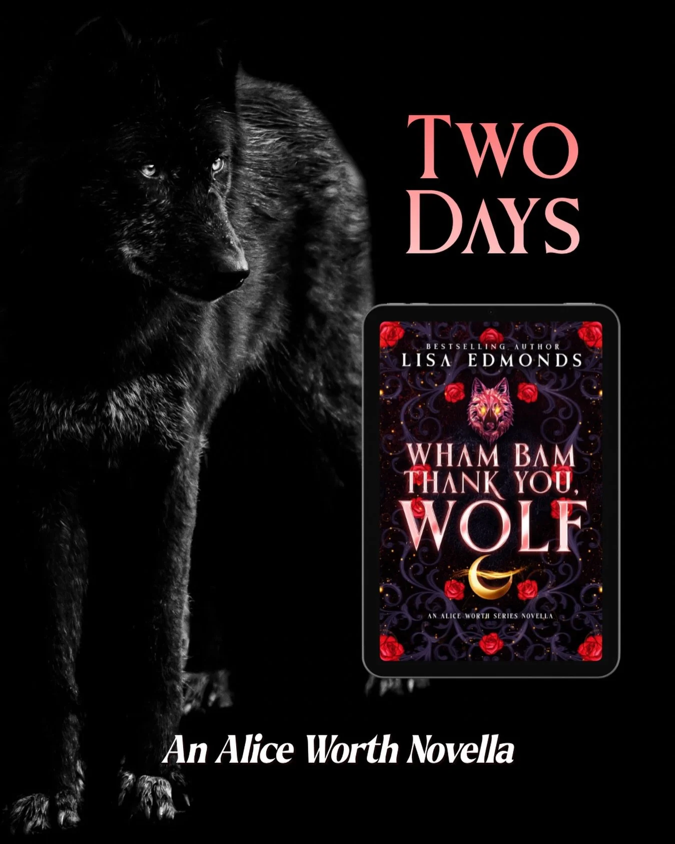 What happens when one night isn&rsquo;t enough?

Just two days until Wham Bam Thank You, Wolf drops!

Wham Bam Thank You, Wolf is a sequel to Just for One Night (An Alice Worth Novella) and includes all-new chapters plus some scenes from Heart of Mal