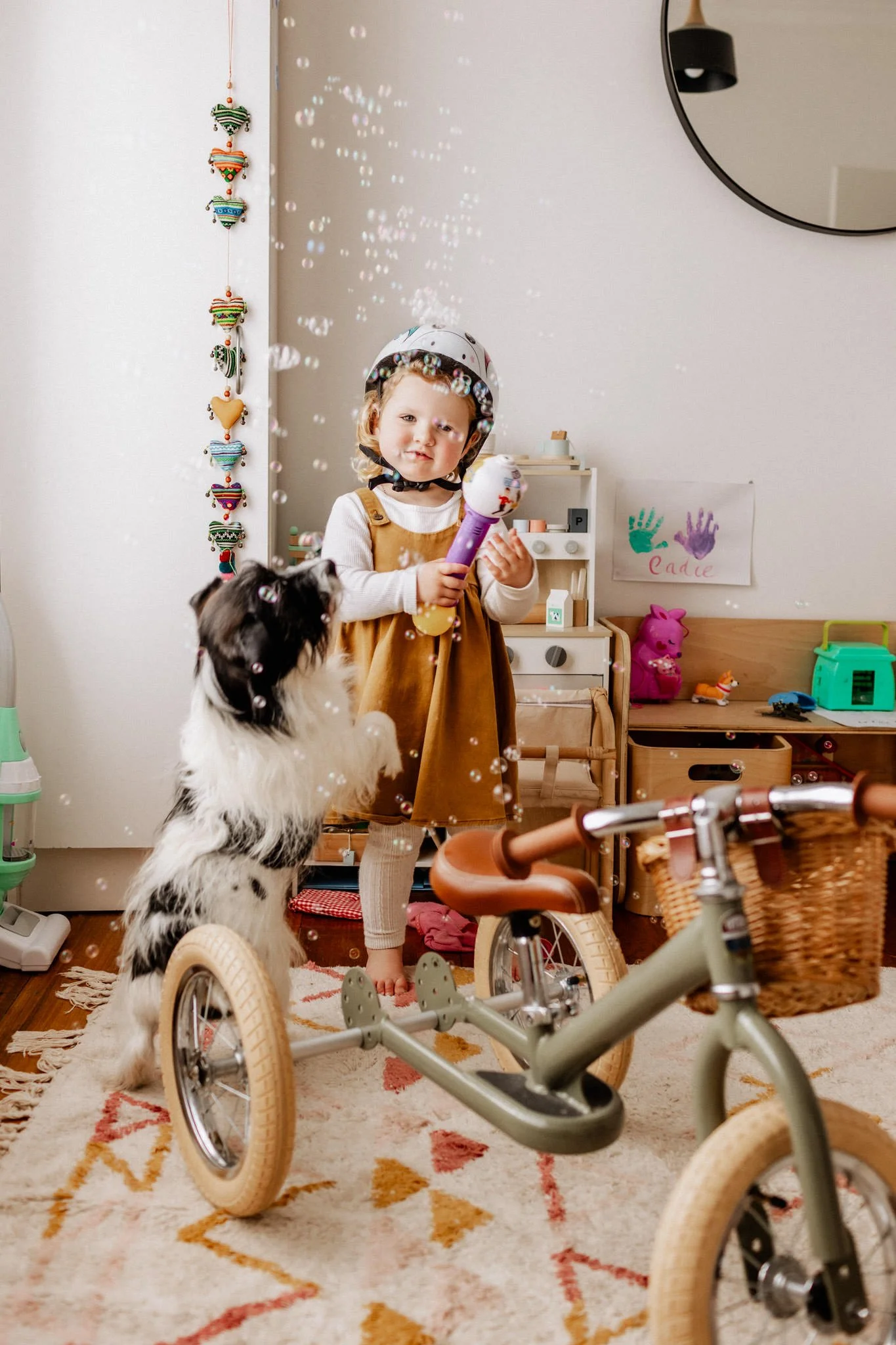 little girl and dog playing with bubbles in geelong home.jpg