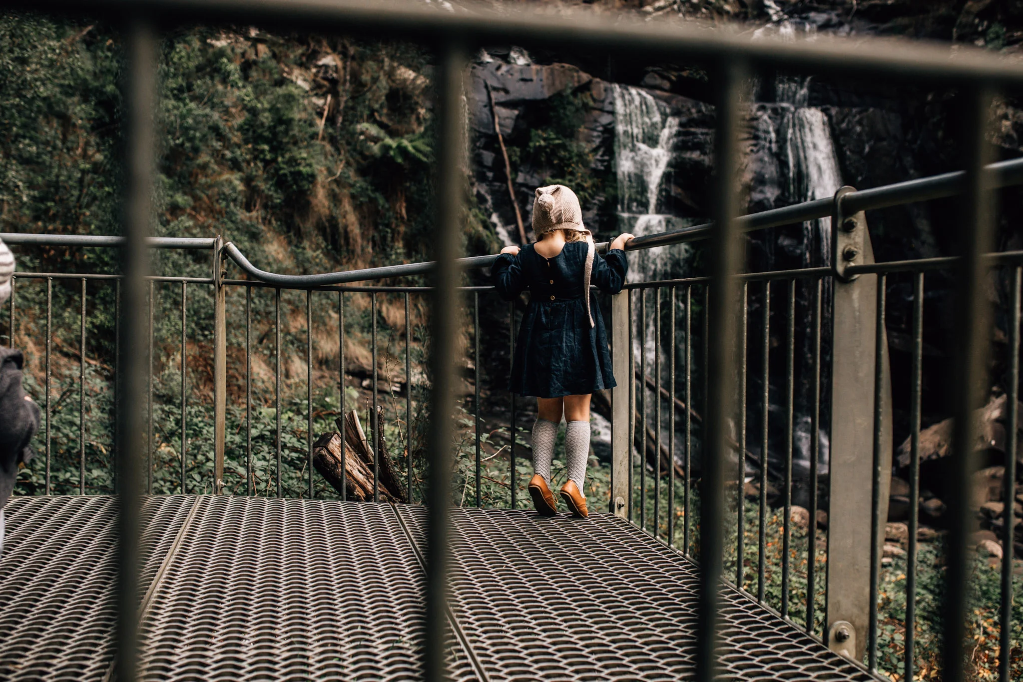 Stevenson Falls, Great Otway National Park.
