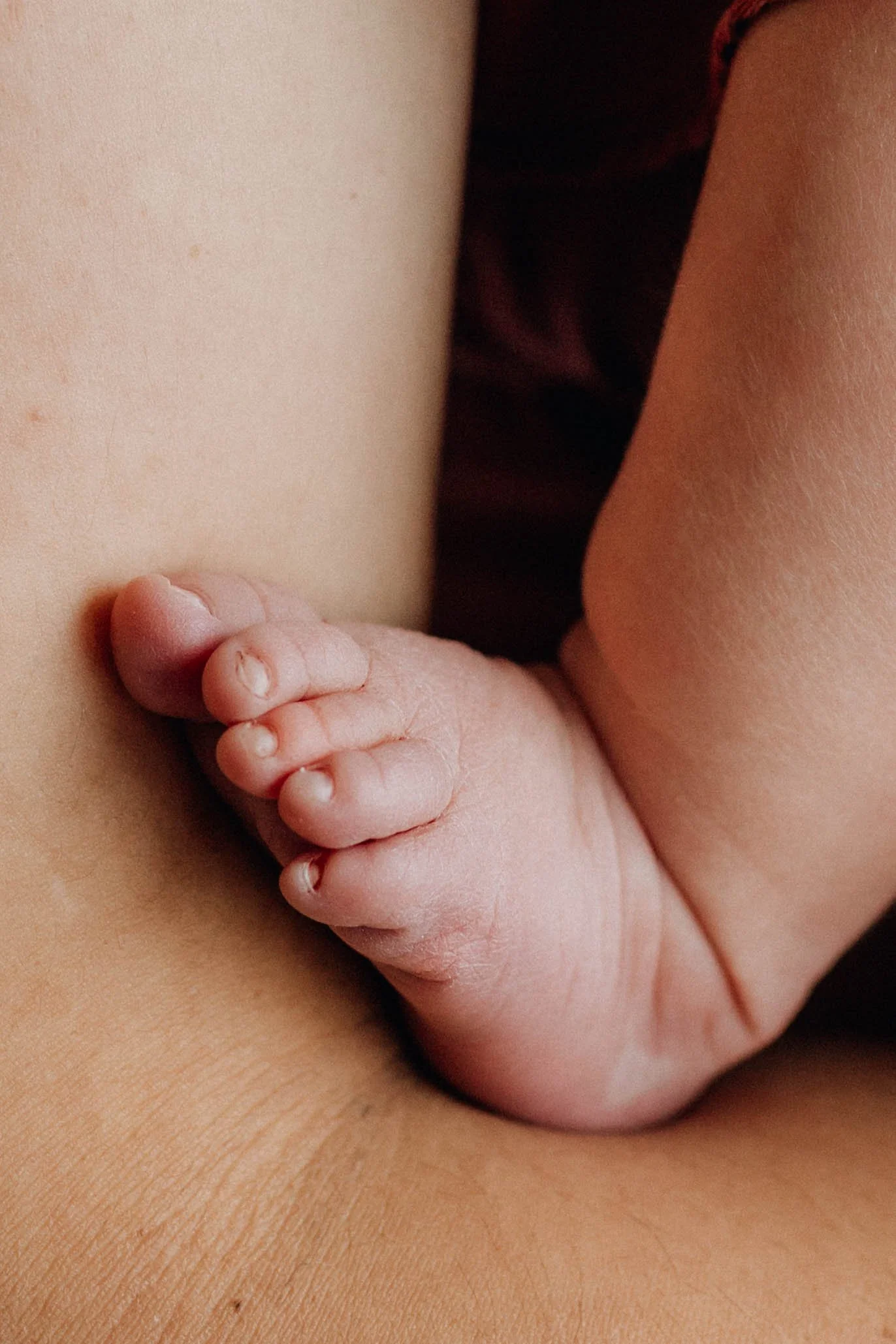 geelong newborn baby details.jpg