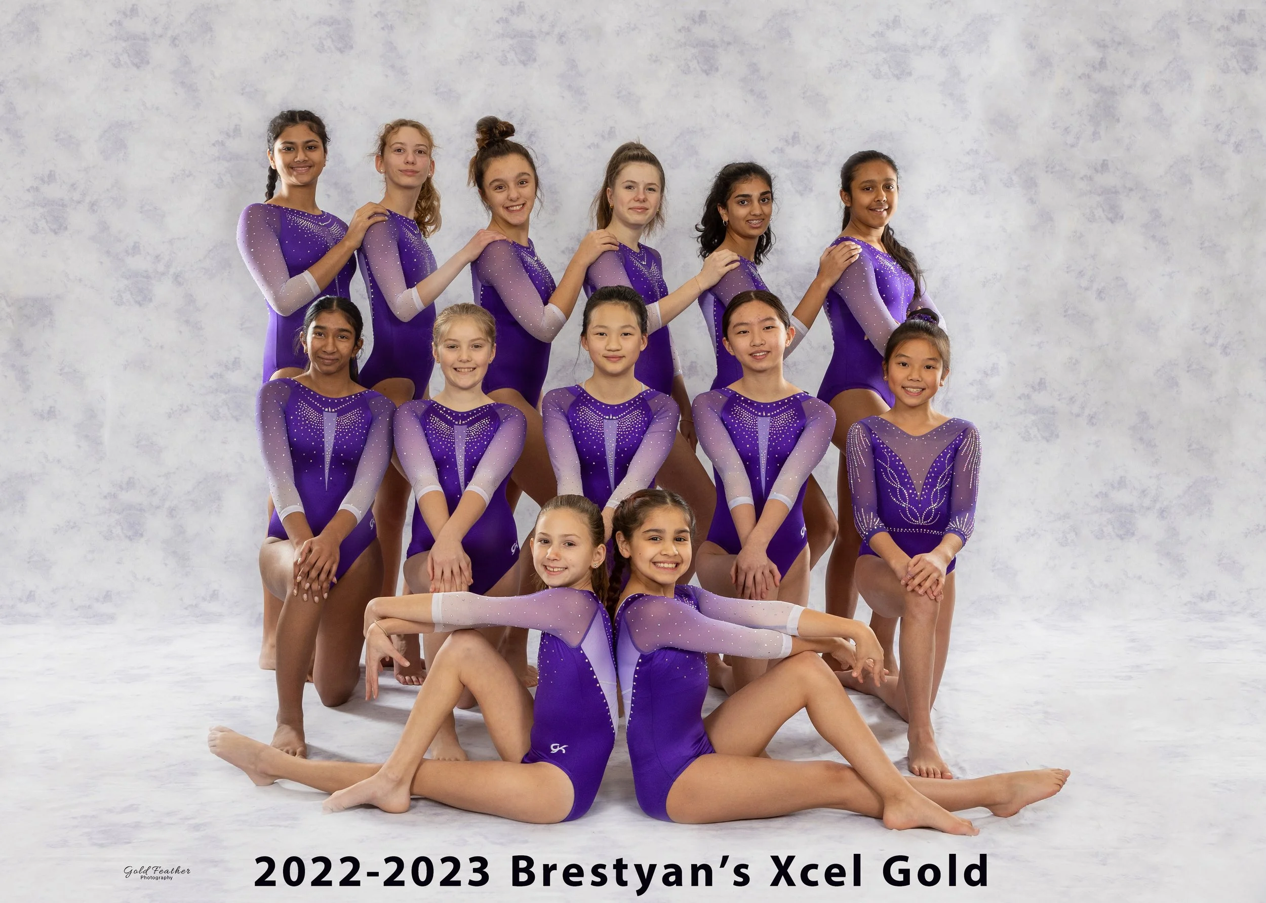 Women's Xcel Team — Brestyan's American Gymnastics Club