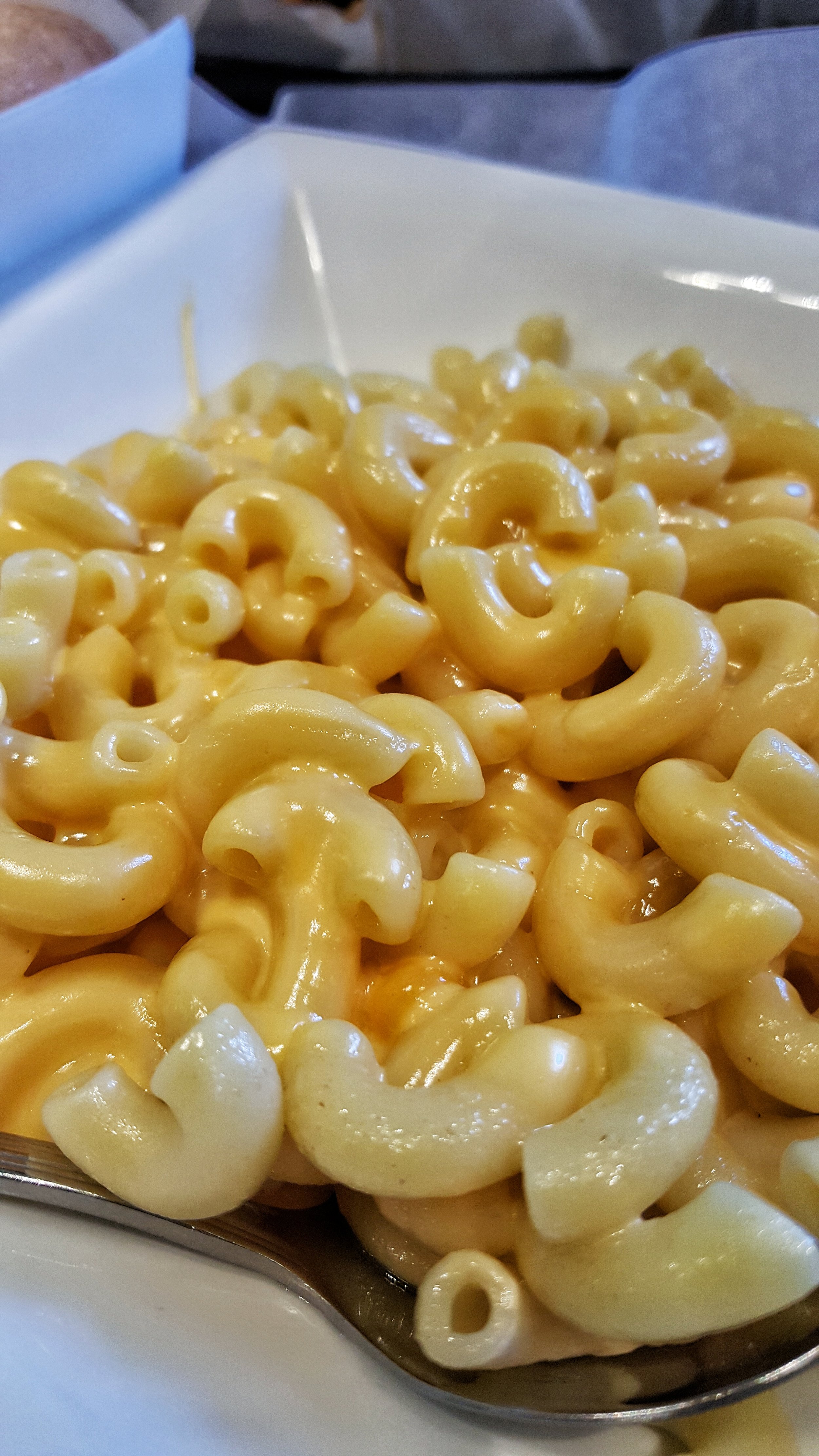 20151004_165248-01.jpeg