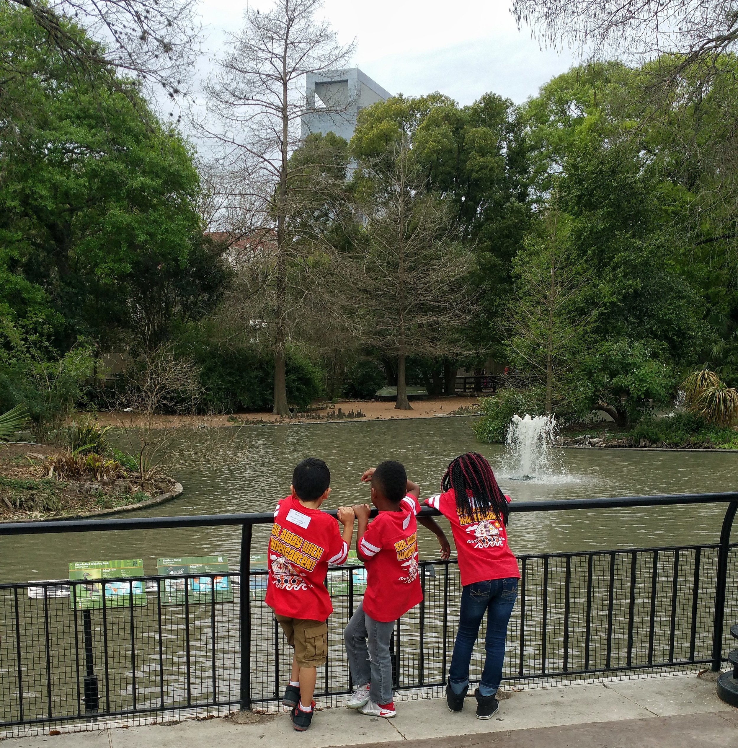 20170308_120716-01-e1489205213255.jpeg
