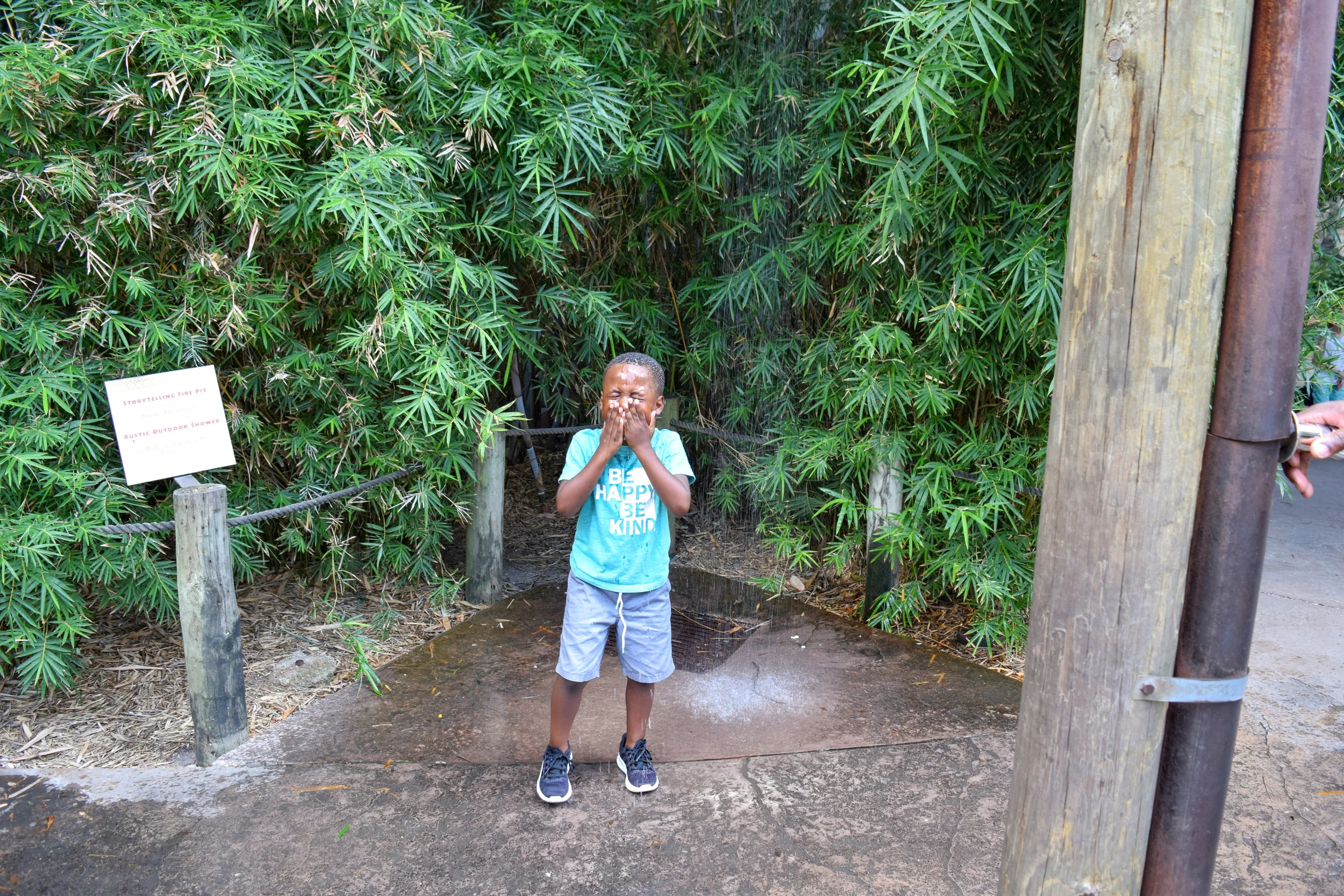 LRM_EXPORT_7299042681484_20190801_194724240.jpeg
