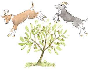 Why Leaping Goat? 