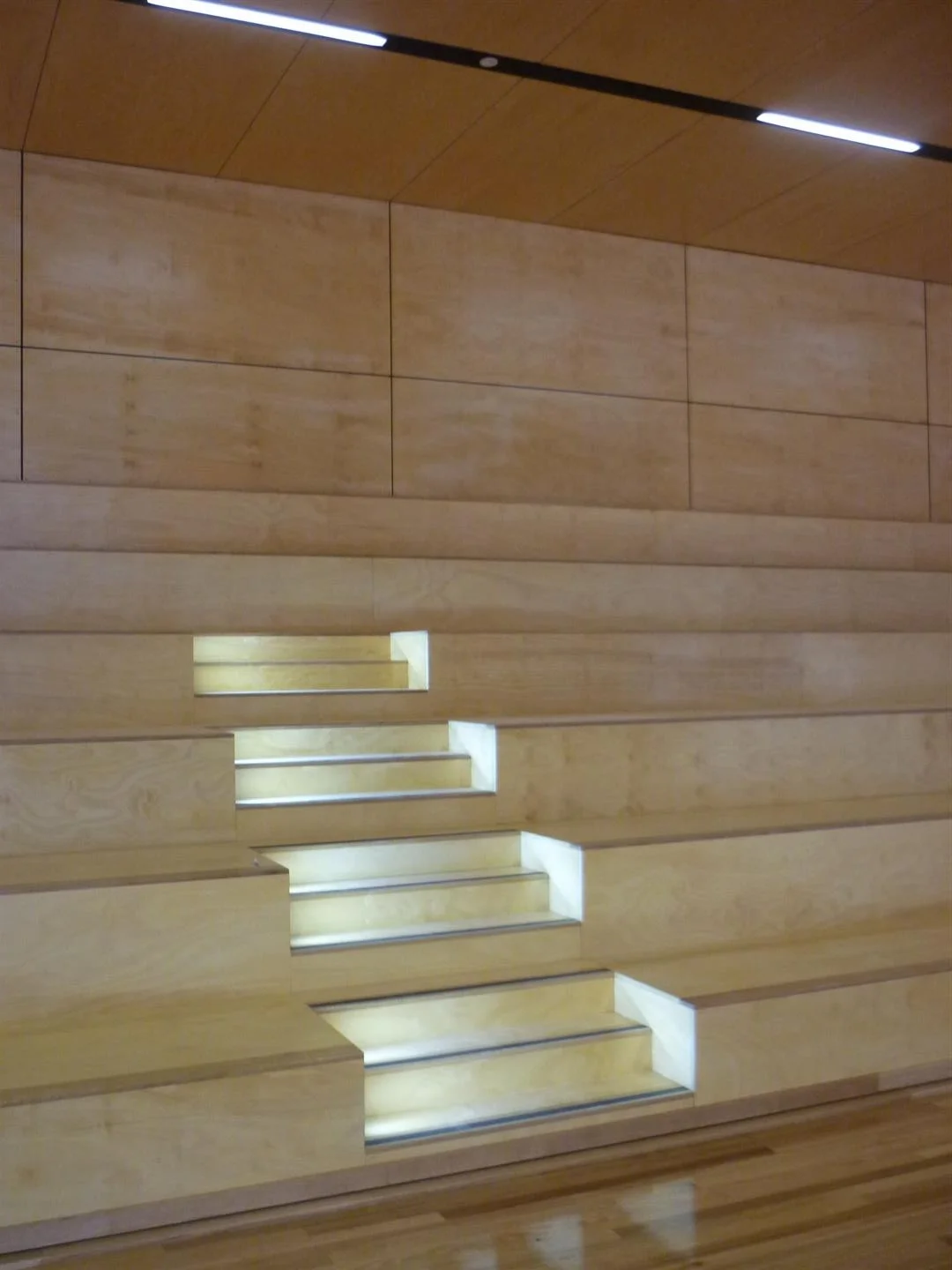 P1160382 (Large).JPG