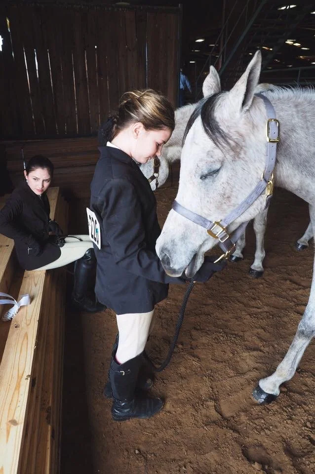 horse10.JPG