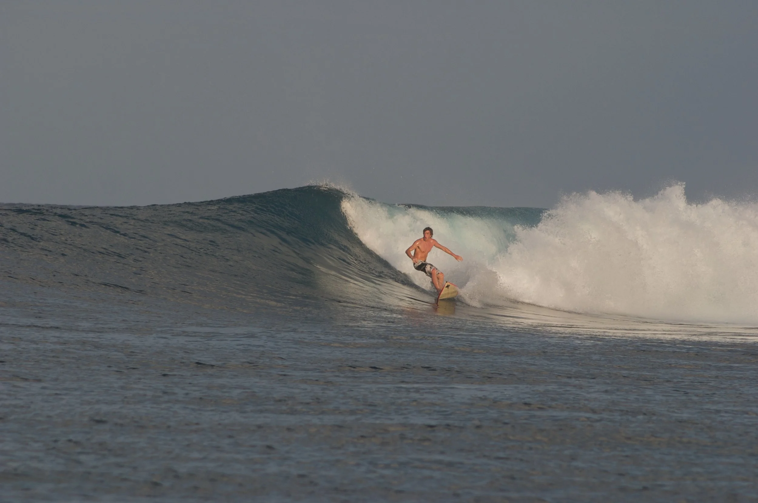 sumatransurfariis 164.jpg
