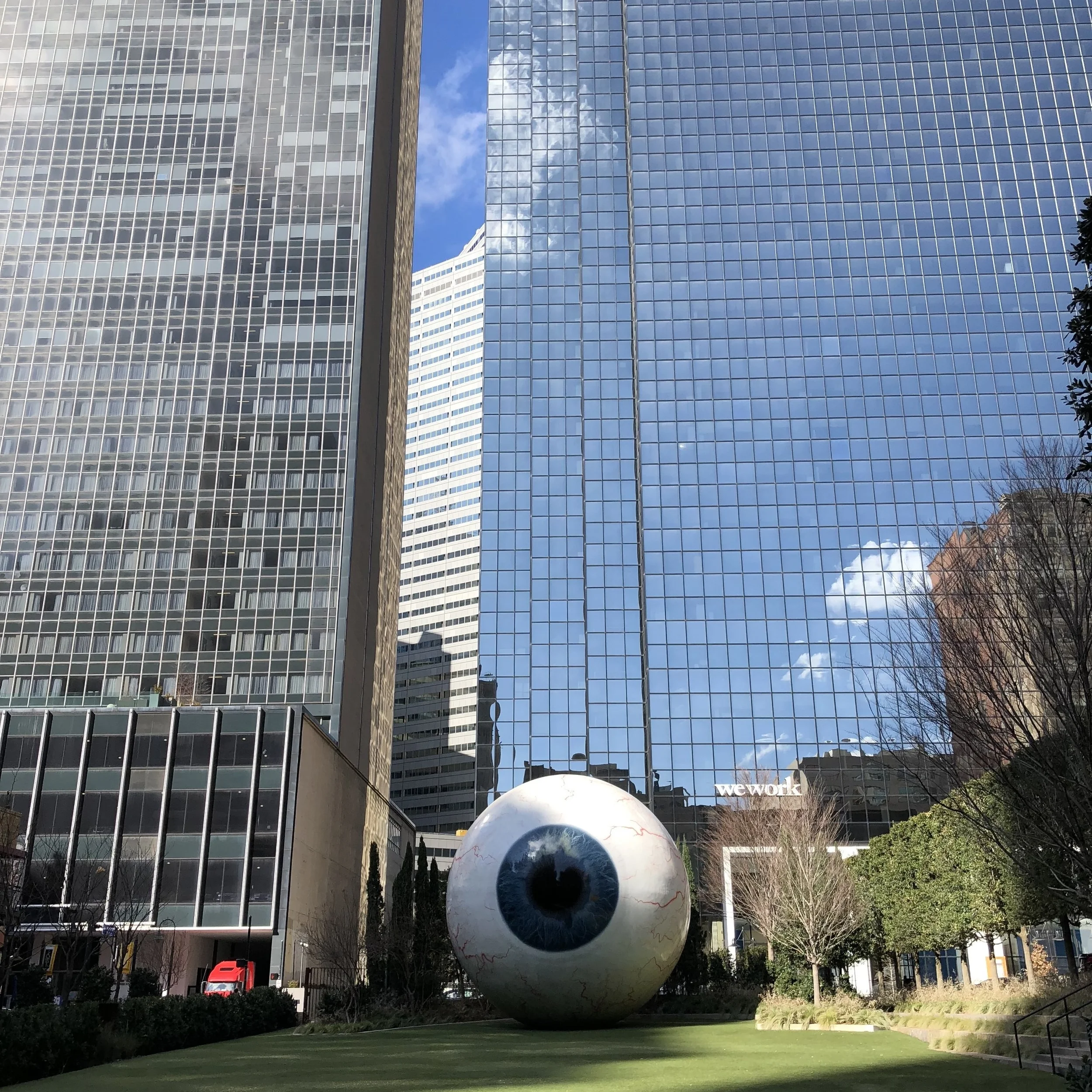 IMG_8807.jpg