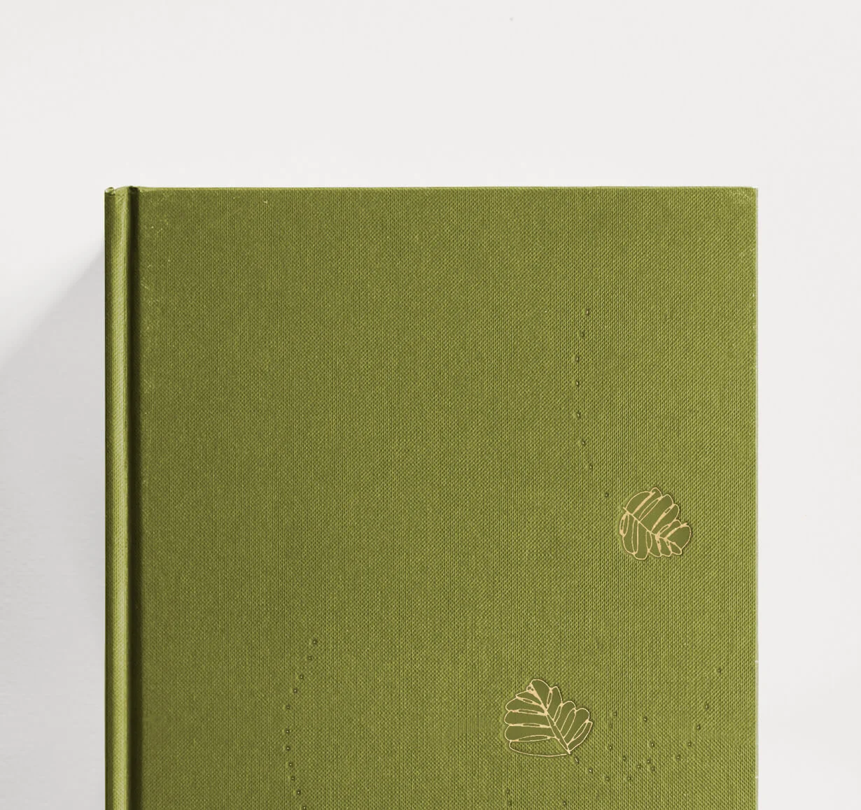 HeroBook_HomeOliveTop.jpg
