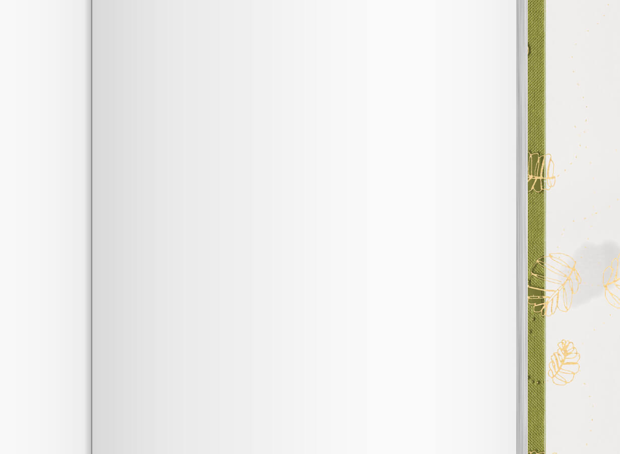 HeroBook_HomeOliveInside.jpg