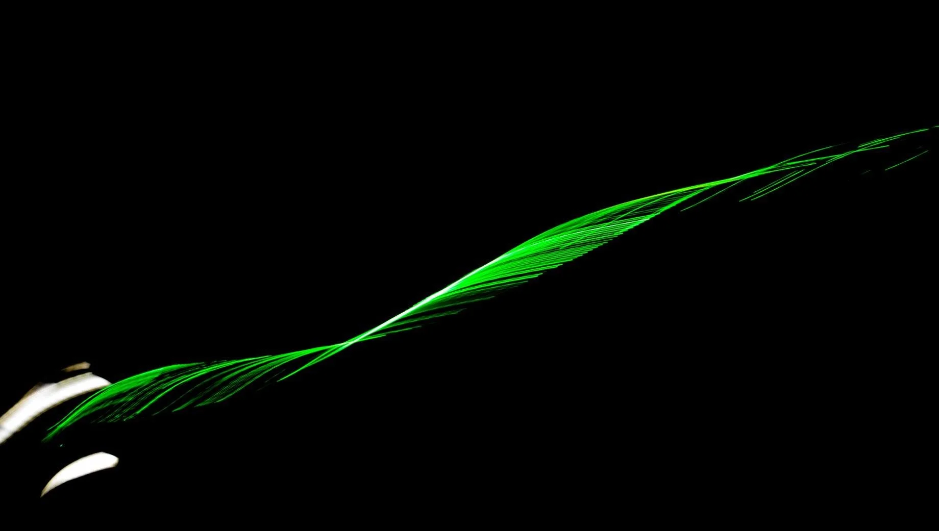 Feather Long exposure 105mm f8 1” ISO 100