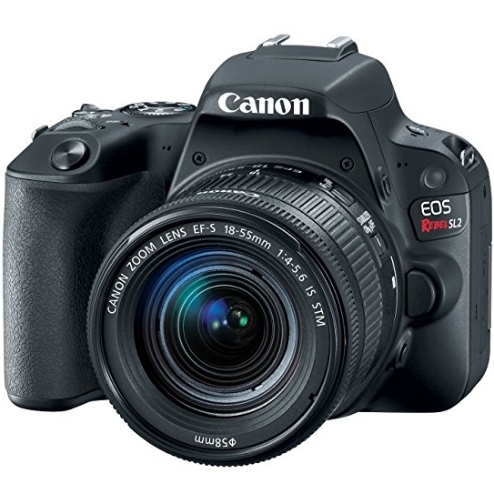 Canon EOS Rebel SL2 DSLR Camera with EF-S 18-55mm STM Lens - WiFi Enabled