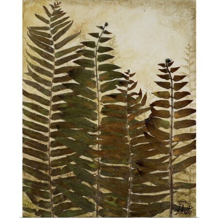 Patricia Pinto Plant Print Ferns  