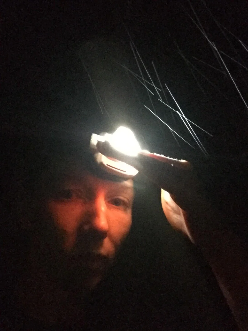 mtb night with torch.jpg