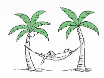 Man in a Palm Tree.jpg
