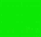 th6TL305R6.jpg