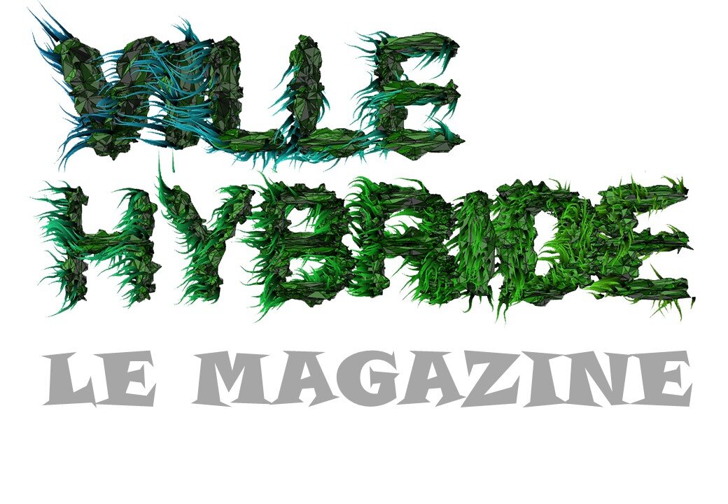 11.2020 / Intégration du comité de rédaction de "Ville Hybride Le Magazine. Le monde d'après existe déjà !"