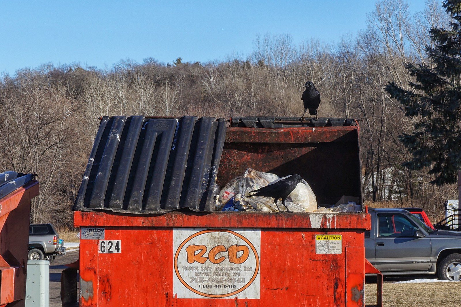  Photo prise à River Falls, Wisconsin, par  Andrew Iverson  (CC BY-NC-ND 2.0) 