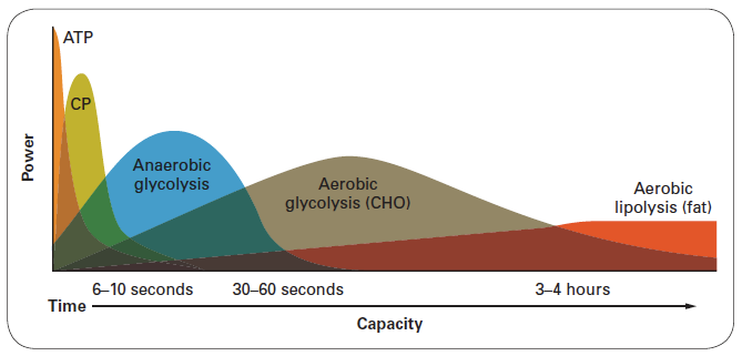 energysystems.png