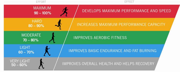 aerobiczones.jpeg