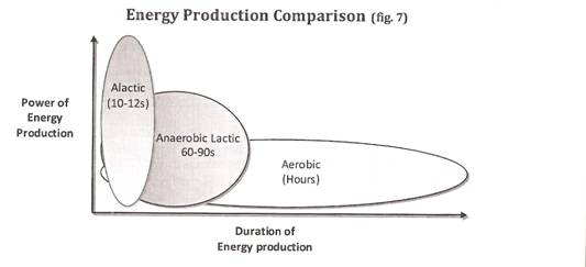 energypathways.jpeg