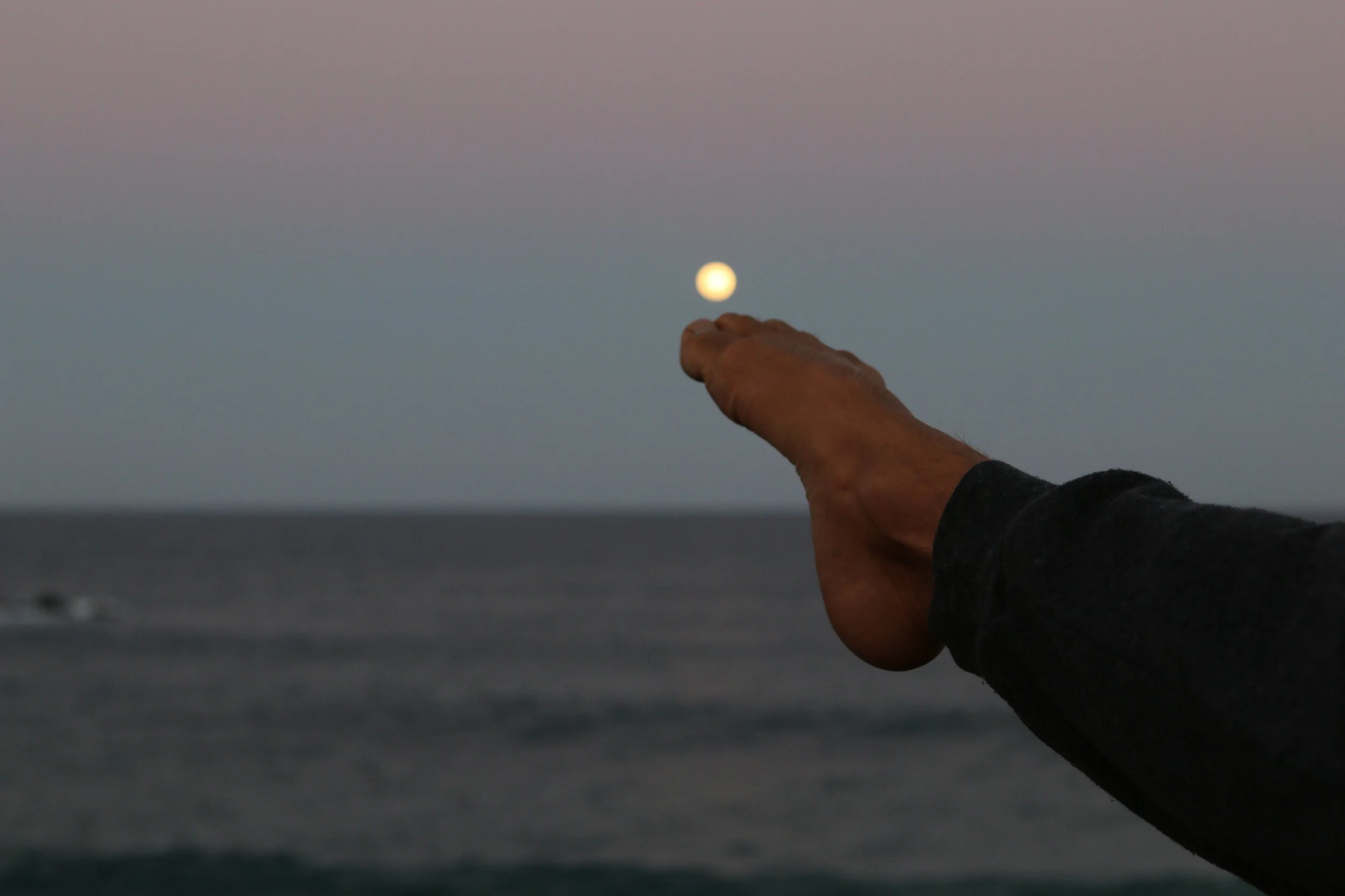 Protect The Asset Case Study