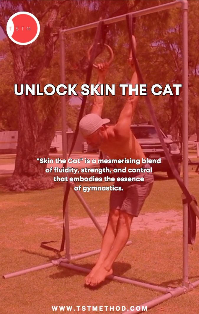 STC-Cover.jpg